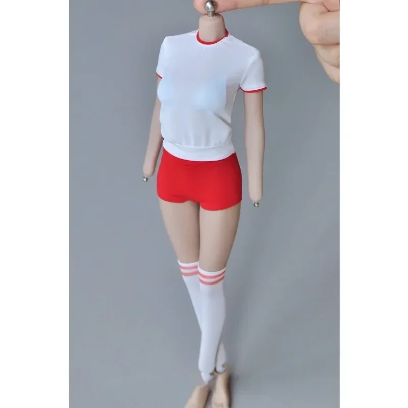 1/6 Scale Female Soldier Japan - Japanese Lifestyle Goods recensione e prezzo